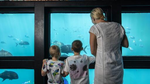 Great Barrier Reef Adventure
